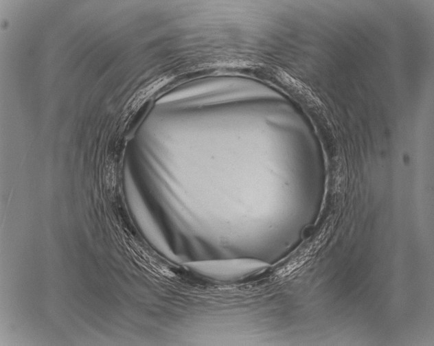 X0000060551169200511241218