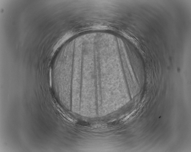 X0000060551171200511241218