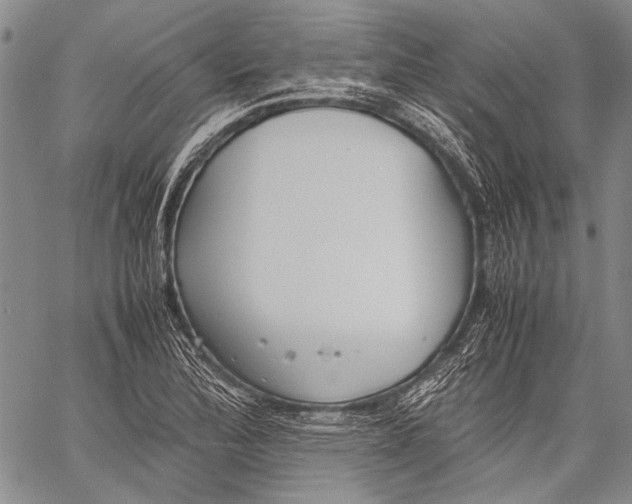 X0000060551172200511241218