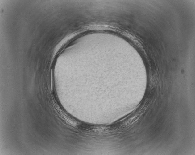 X0000060551175200511241218