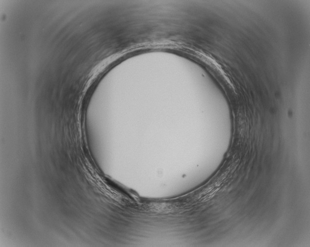 X0000060551176200511241218