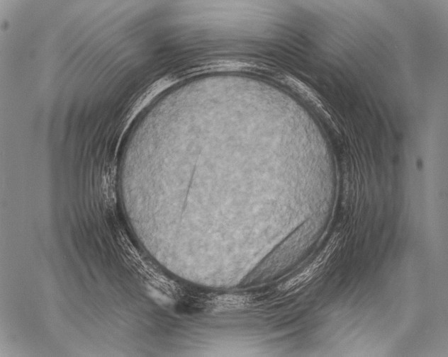 X0000060551178200511241218