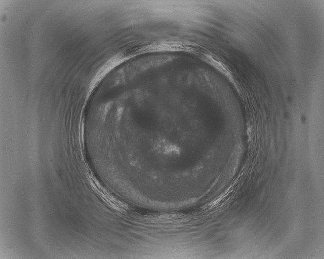 X0000060551179200511241218