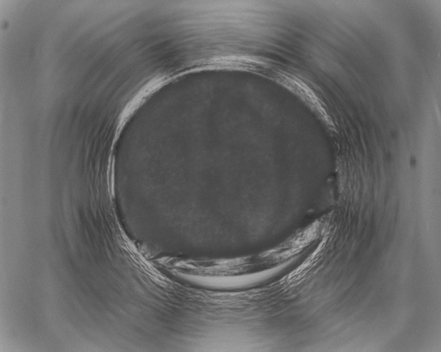 X0000060551180200511241218