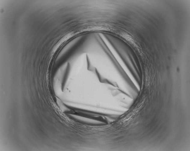 X0000060551181200511241218