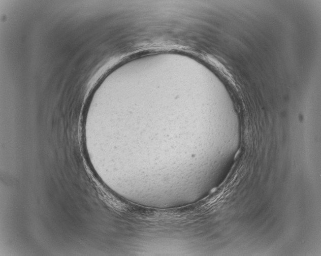 X0000060551183200511241218