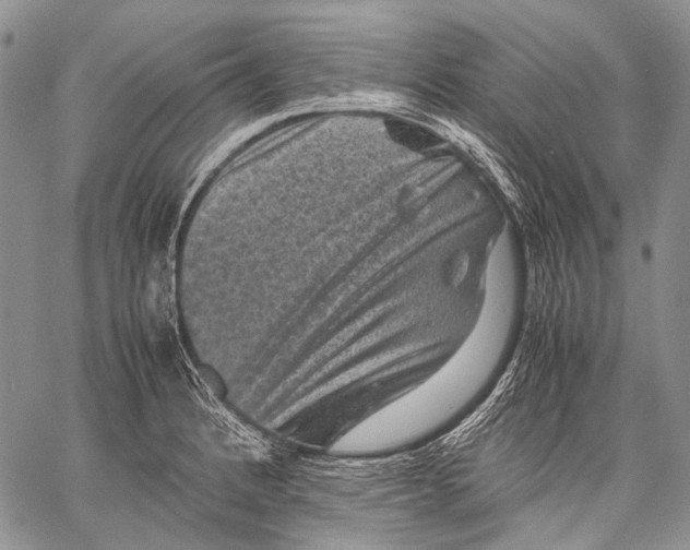 X0000060551184200511241218