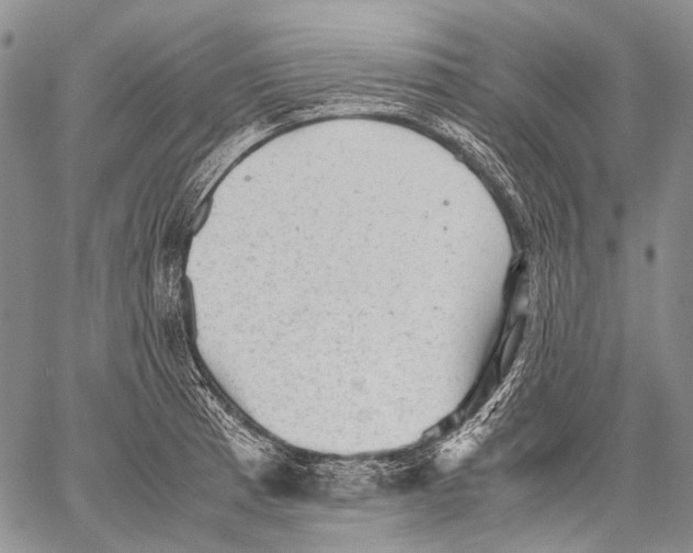 X0000060551185200511241217