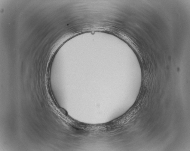 X0000060551187200511241217