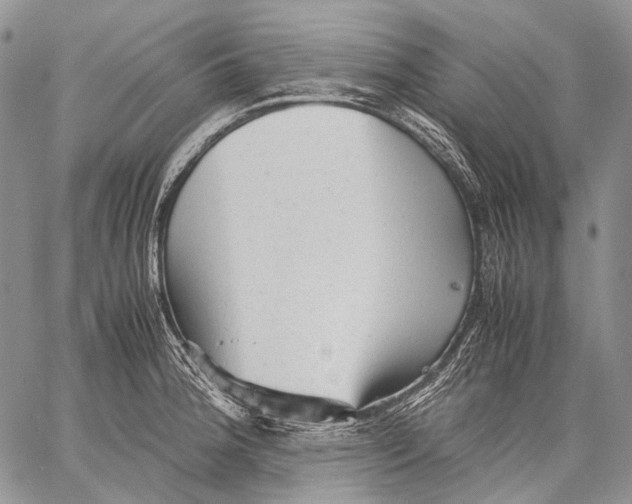 X0000060551188200511241217