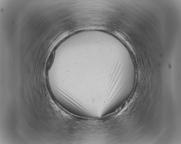 X0000060551189200511241217