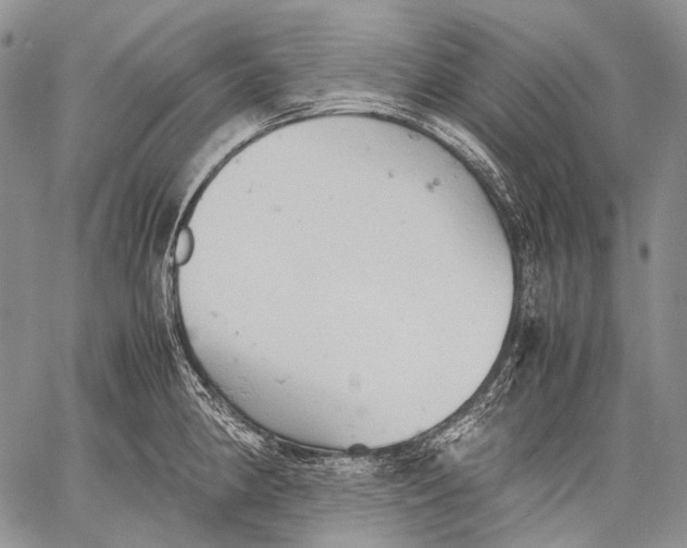 X0000060551190200511241217