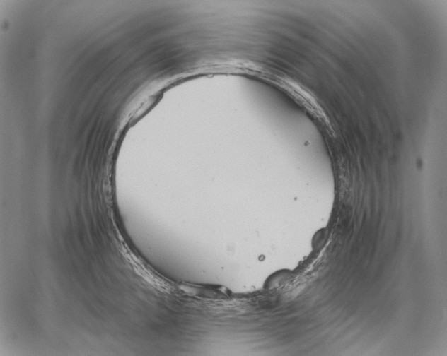 X0000060551192200511241217