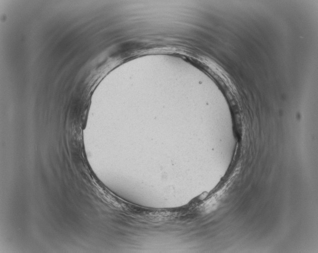 X0000060551193200511241217