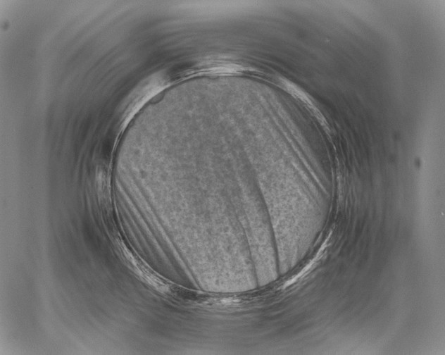 X0000060551194200511241217