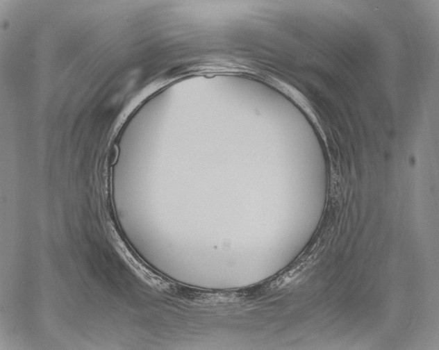 X0000060551195200511241217