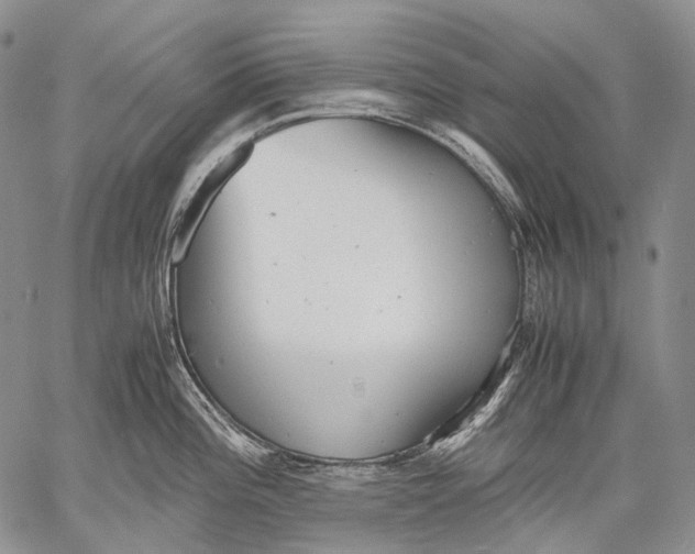 X0000060551196200511241217