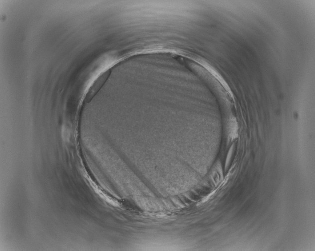 X0000060551197200511241217