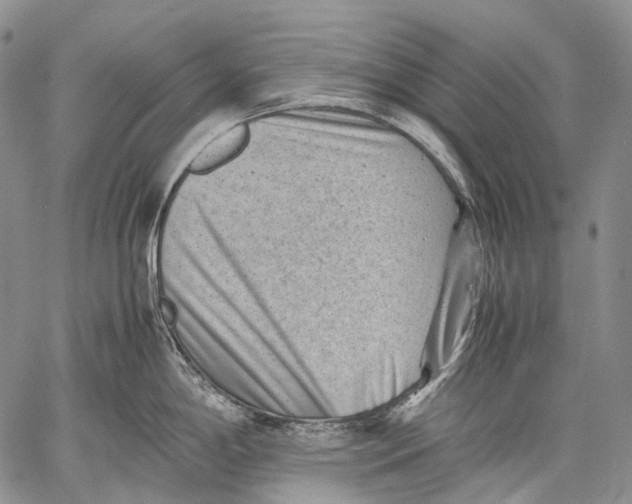 X0000060551198200511241217