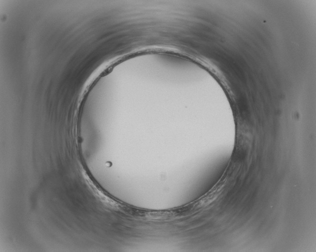 X0000060551199200511241217