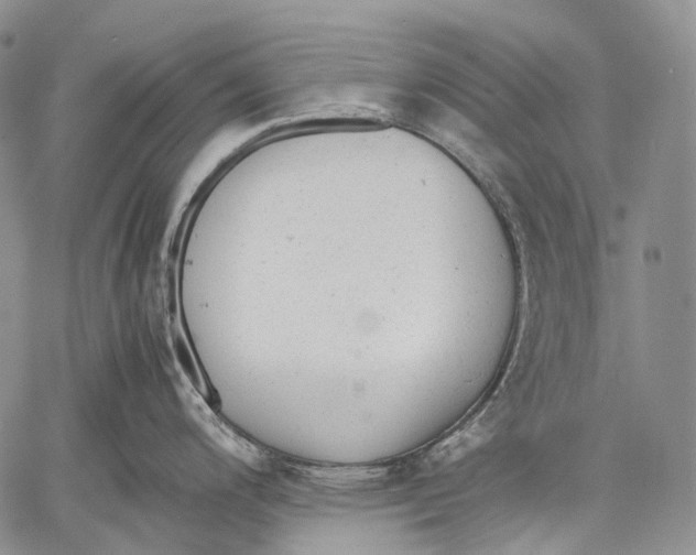 X0000060551200200511241217