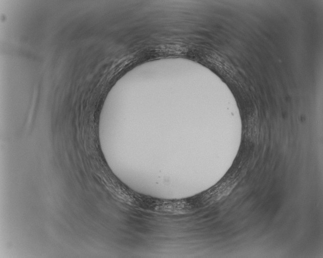 X0000060551201200511241216