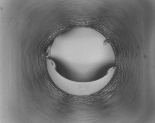 X0000060551202200511241216