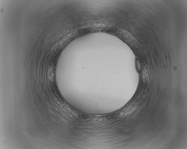 X0000060551204200511241217