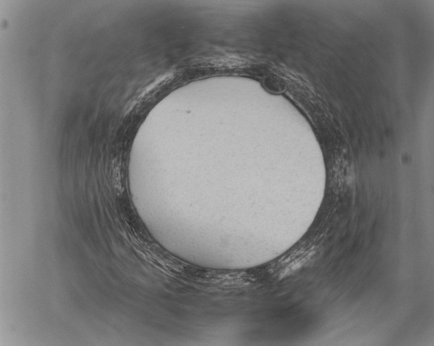 X0000060551205200511241217