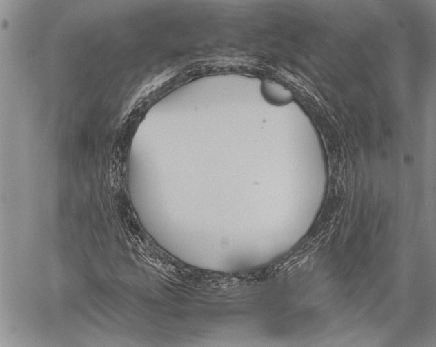 X0000060551207200511241217