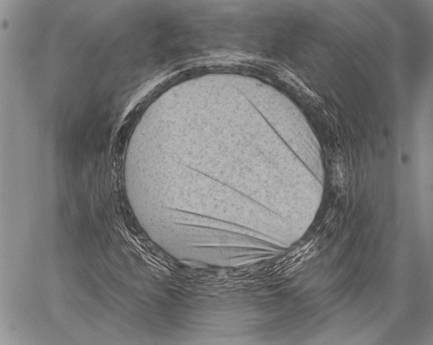 X0000060551208200511241217