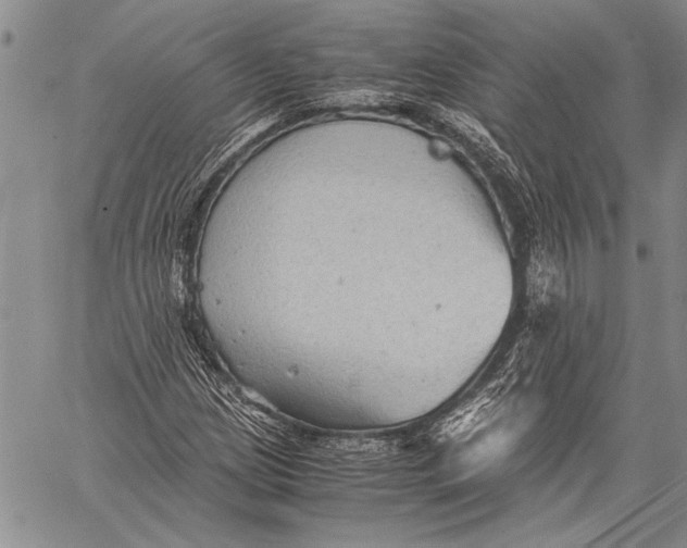 X0000060551209200511241217