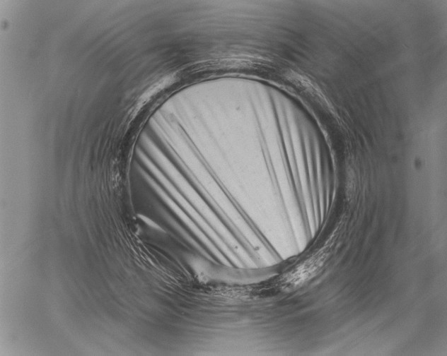 X0000060551210200511241217