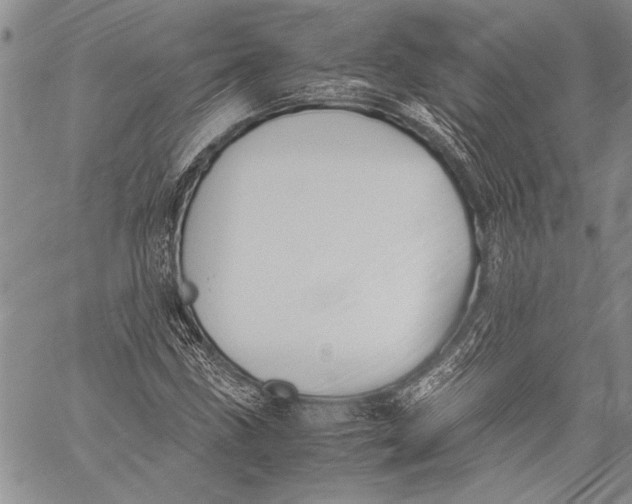 X0000060551211200511241217