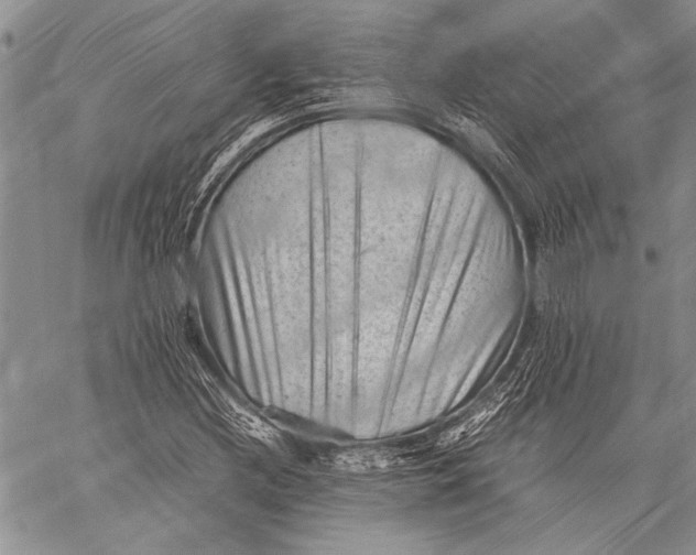 X0000060551212200511241217