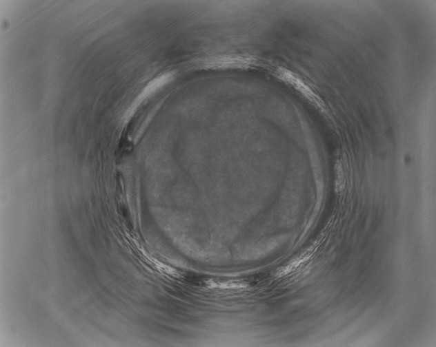 X0000060551213200511241217