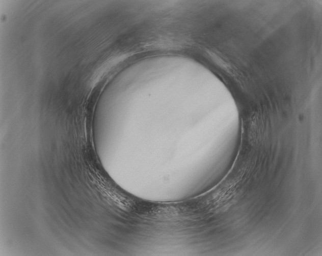 X0000060551214200511241217