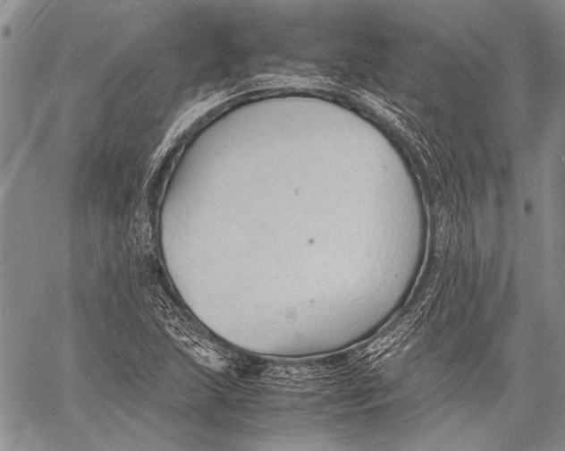 X0000060551215200511241217