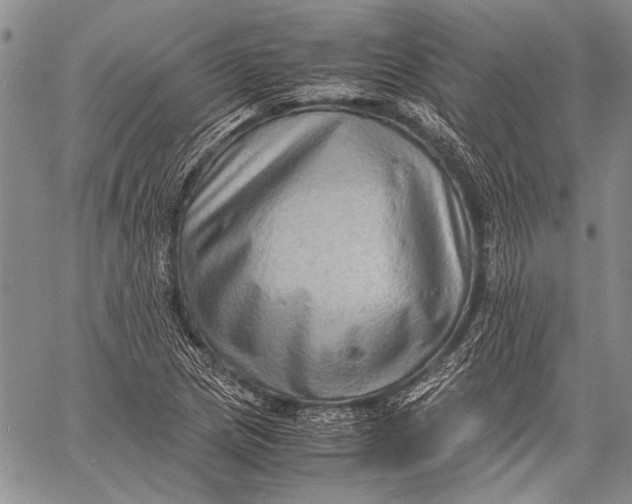 X0000060551217200511241217