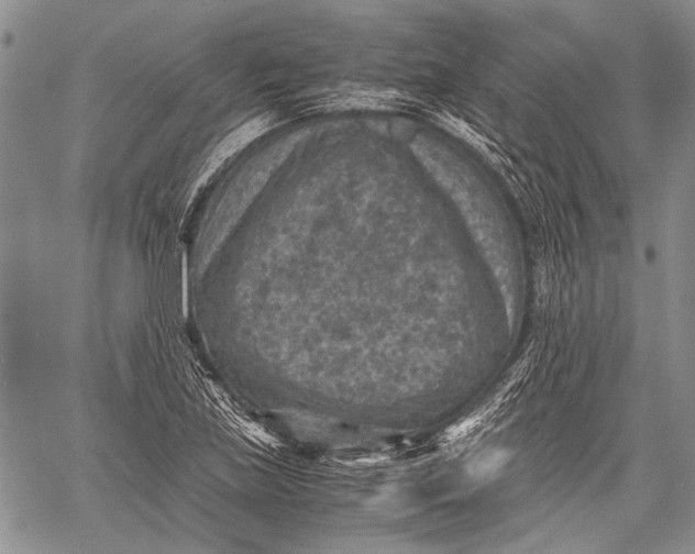 X0000060551219200511241217