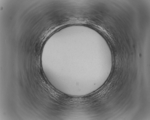 X0000060551220200511241217