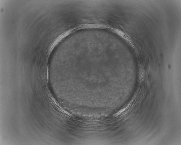 X0000060551221200511241217