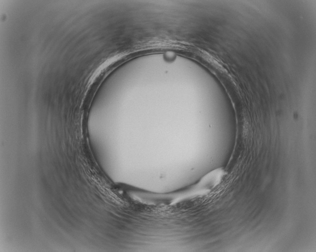 X0000060551222200511241217