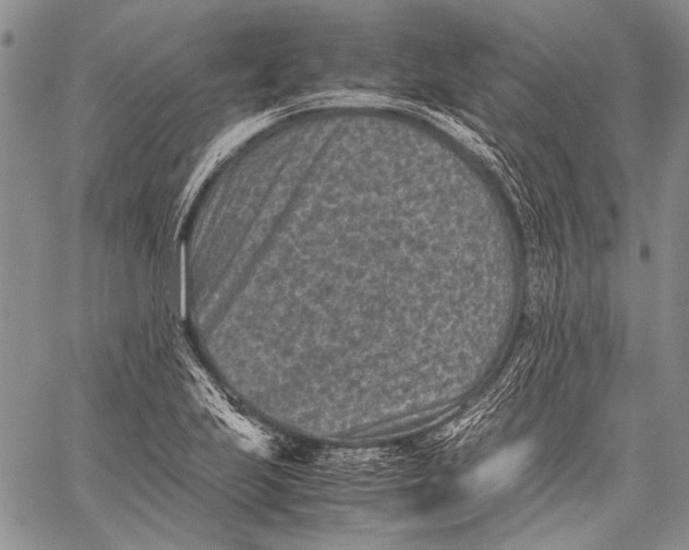 X0000060551223200511241217