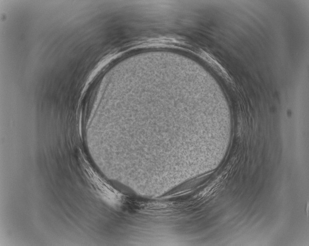 X0000060551224200511241217