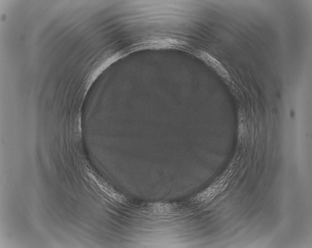 X0000060551226200511241217