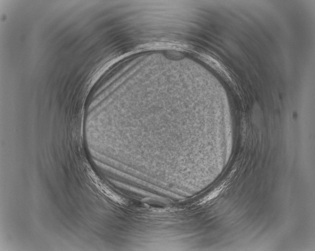 X0000060551228200511241217