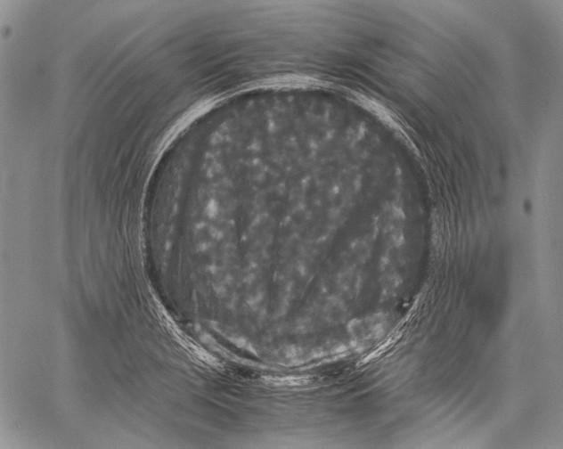 X0000060551229200511241217