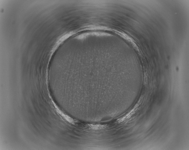 X0000060551231200511241217