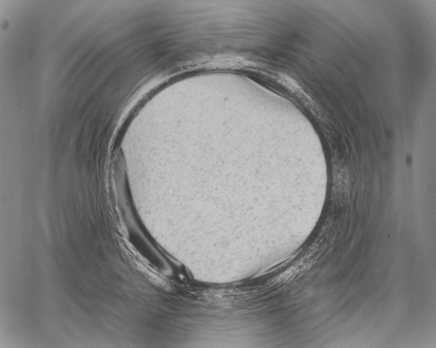 X0000060551232200511241217